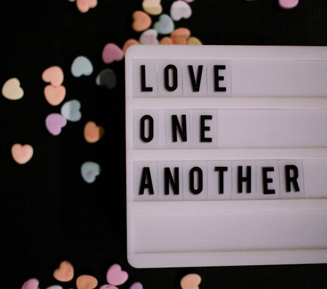 priscilla du preez 0BpG6o c6f0 unsplash priscilla du preez 0BpG6o c6f0 unsplash